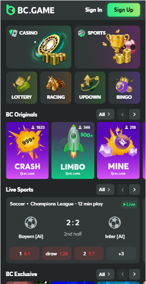 Comprehensive Guide to BC Game Payment Options